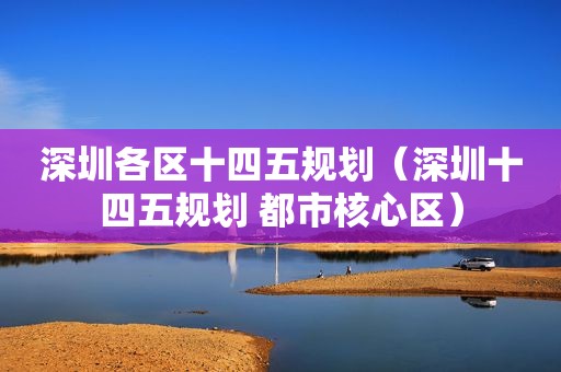深圳各区十四五规划（深圳十四五规划 都市核心区）