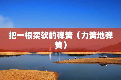 把一根柔软的弹簧（力簧地弹簧）
