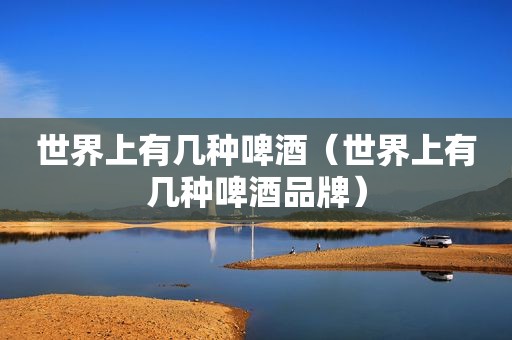 世界上有几种啤酒（世界上有几种啤酒品牌）