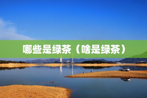哪些是绿茶（啥是绿茶）