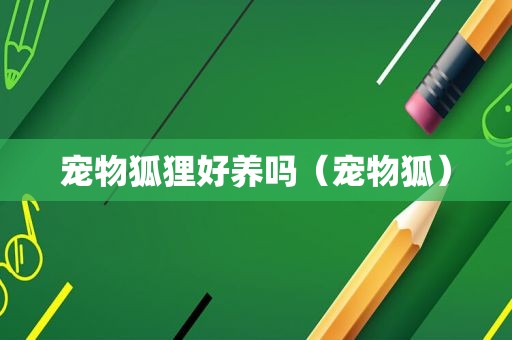 宠物狐狸好养吗（宠物狐）