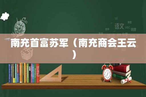 南充首富苏军（南充商会王云）