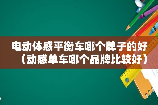 电动体感平衡车哪个牌子的好（动感单车哪个品牌比较好）