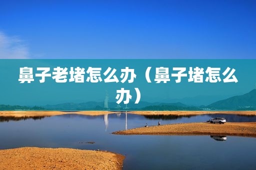 鼻子老堵怎么办（鼻子堵怎么办）