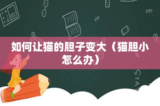 如何让猫的胆子变大（猫胆小怎么办）