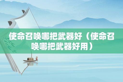 使命召唤哪把武器好（使命召唤哪把武器好用）