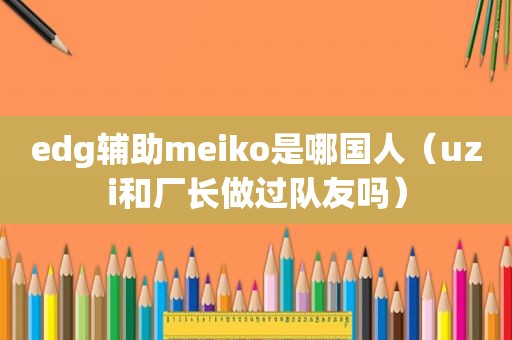 edg辅助meiko是哪国人（uzi和厂长做过队友吗）
