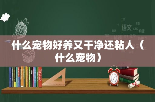 什么宠物好养又干净还粘人（什么宠物）
