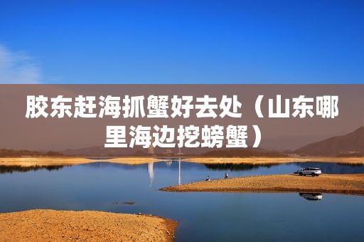 胶东赶海抓蟹好去处（山东哪里海边挖螃蟹）