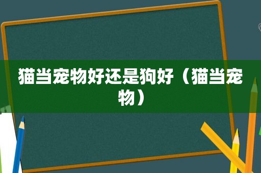猫当宠物好还是狗好（猫当宠物）