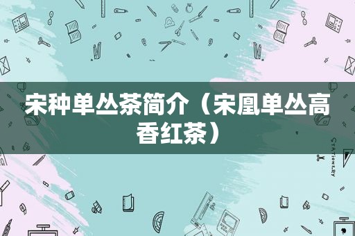 宋种单丛茶简介（宋凰单丛高香红茶）