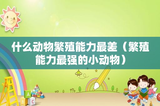 什么动物繁殖能力最差（繁殖能力最强的小动物）