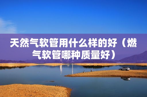 天然气软管用什么样的好（燃气软管哪种质量好）