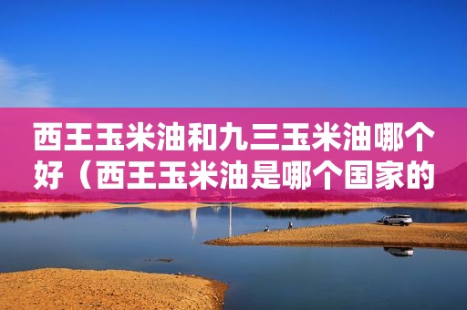 西王玉米油和九三玉米油哪个好（西王玉米油是哪个国家的品牌）