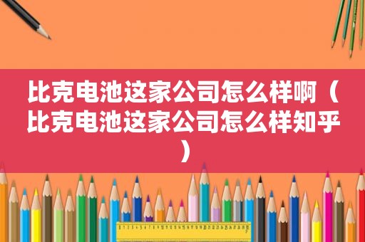 比克电池这家公司怎么样啊（比克电池这家公司怎么样知乎）