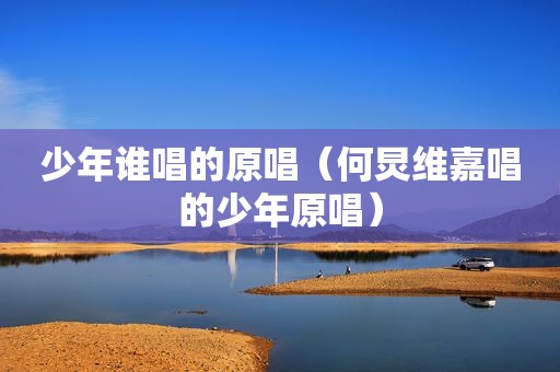 少年谁唱的原唱（何炅维嘉唱的少年原唱）