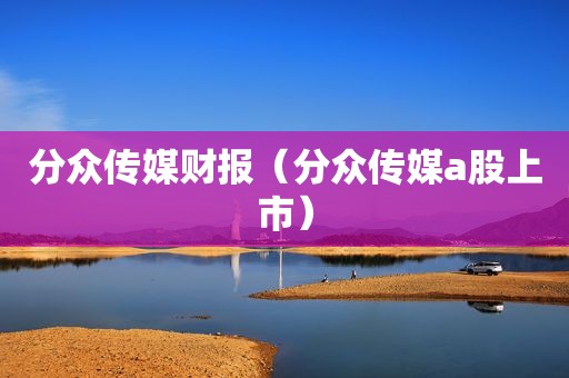 分众传媒财报（分众传媒a股上市）