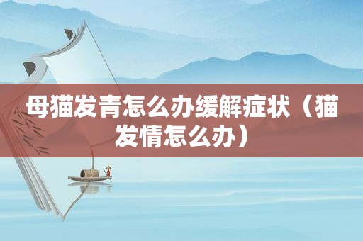母猫发青怎么办缓解症状（猫 *** 怎么办）