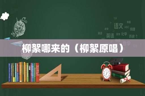 柳絮哪来的（柳絮原唱）