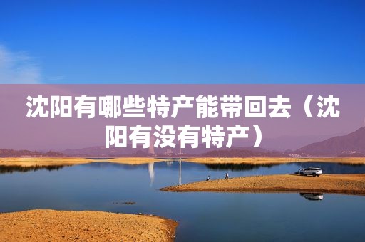 沈阳有哪些特产能带回去（沈阳有没有特产）