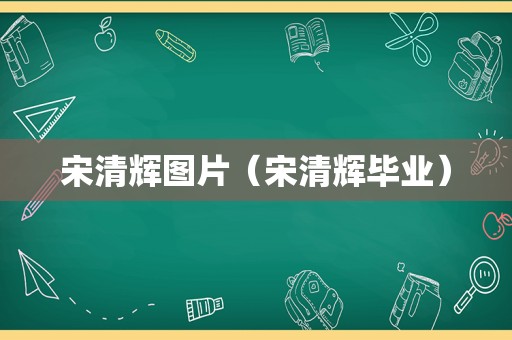 宋清辉图片（宋清辉毕业）