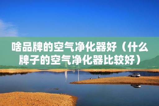 啥品牌的空气净化器好（什么牌子的空气净化器比较好）