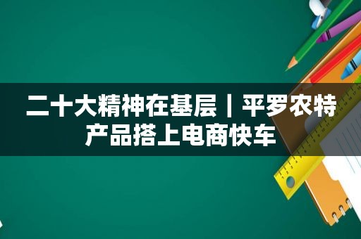 二十大精神在基层｜平罗农特产品搭上电商快车