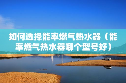 如何选择能率燃气热水器（能率燃气热水器哪个型号好）