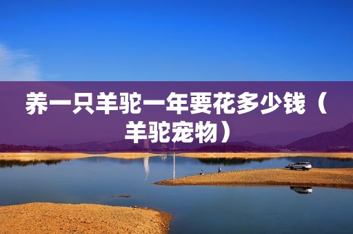 养一只羊驼一年要花多少钱（羊驼宠物）