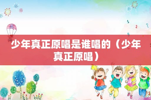 少年真正原唱是谁唱的（少年真正原唱）