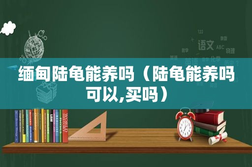  *** 陆龟能养吗（陆龟能养吗可以,买吗）