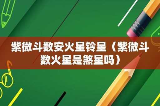 紫微斗数安火星铃星（紫微斗数火星是煞星吗）