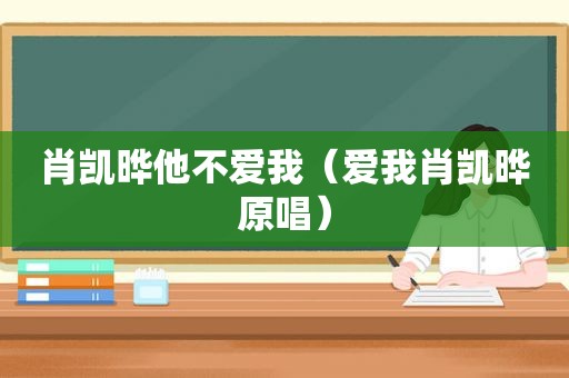 肖凯晔他不爱我（爱我肖凯晔原唱）