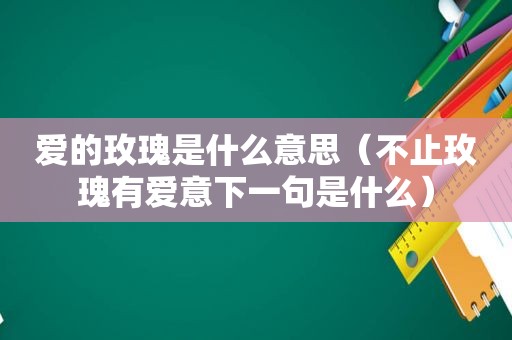 爱的玫瑰是什么意思（不止玫瑰有爱意下一句是什么）