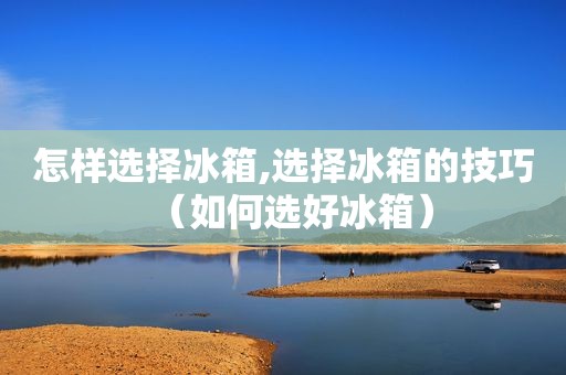 怎样选择冰箱,选择冰箱的技巧（如何选好冰箱）