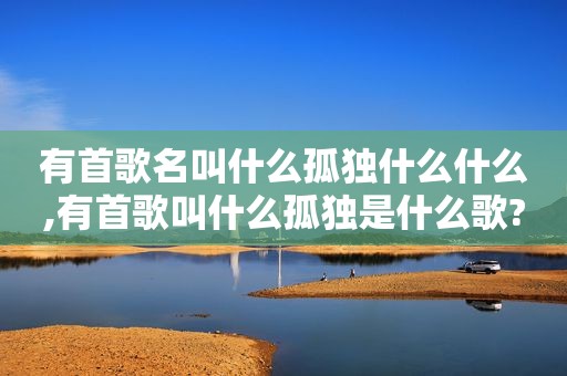 有首歌名叫什么孤独什么什么,有首歌叫什么孤独是什么歌?