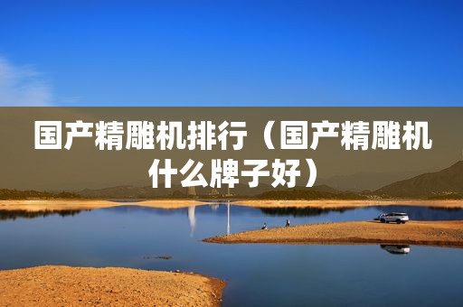 国产精雕机排行（国产精雕机什么牌子好）