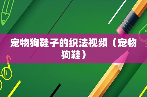 宠物狗鞋子的织法视频（宠物狗鞋）