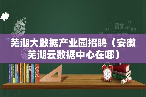 芜湖大数据产业园招聘（安徽芜湖云数据中心在哪）