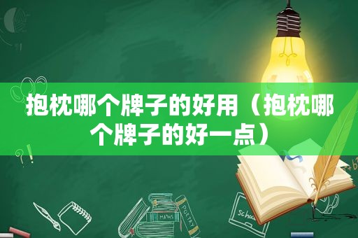 抱枕哪个牌子的好用（抱枕哪个牌子的好一点）