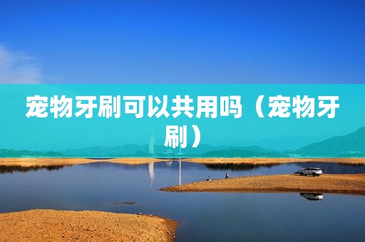 宠物牙刷可以共用吗（宠物牙刷）