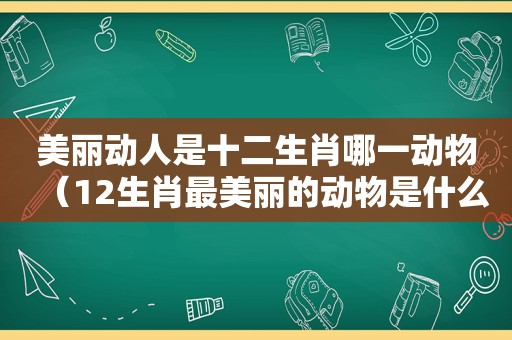 美丽动人是十二生肖哪一动物（12生肖最美丽的动物是什么）