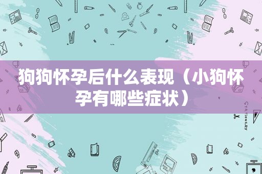 狗狗怀孕后什么表现（小狗怀孕有哪些症状）