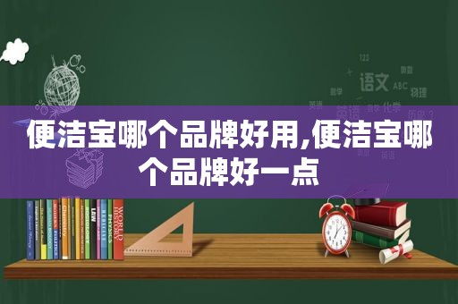 便洁宝哪个品牌好用,便洁宝哪个品牌好一点
