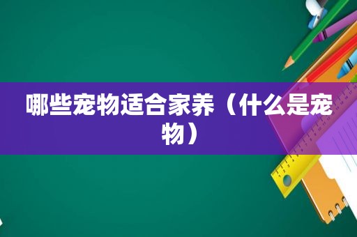 哪些宠物适合家养（什么是宠物）