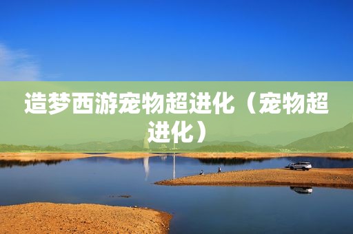 造梦西游宠物超进化（宠物超进化）