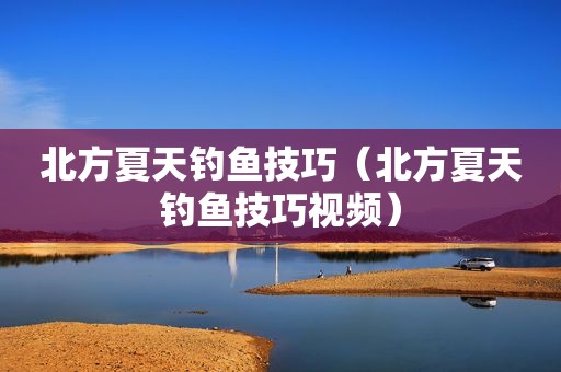 北方夏天钓鱼技巧（北方夏天钓鱼技巧视频）