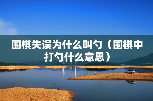 围棋失误为什么叫勺（围棋中打勺什么意思）