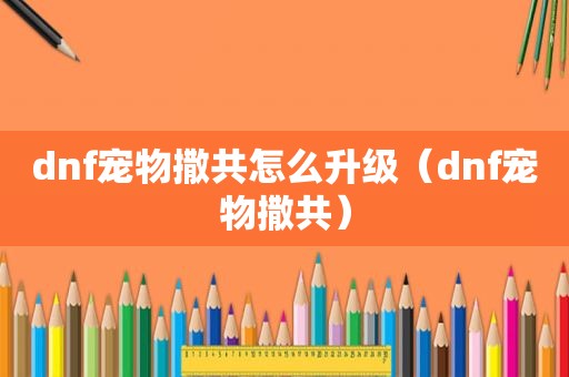 dnf宠物撒共怎么升级（dnf宠物撒共）