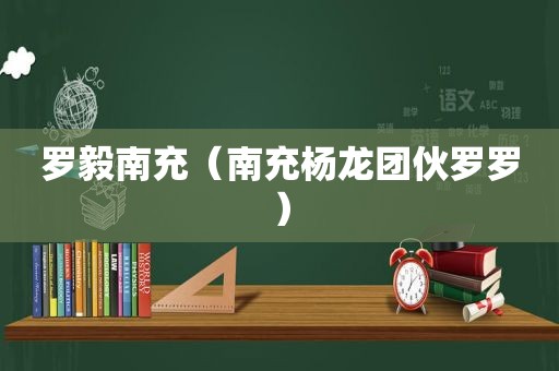 罗毅南充（南充杨龙团伙罗罗）